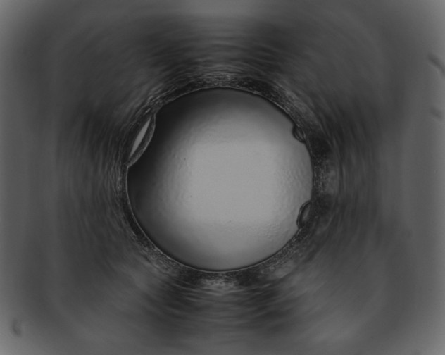 X0000093230561200710171421