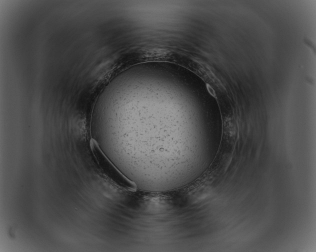 X0000093230564200710171421