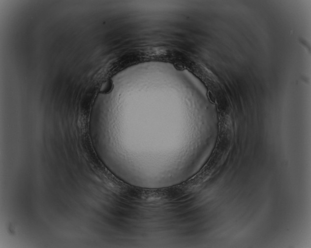 X0000093230565200710171421