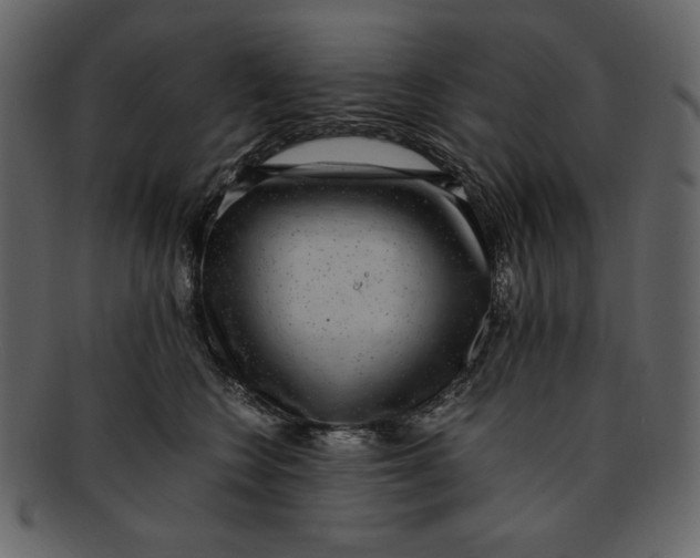 X0000093230566200710171421