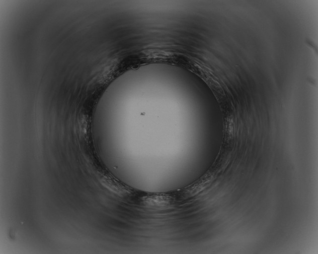 X0000093230567200710171421