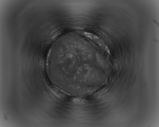 X0000093230568200710171421