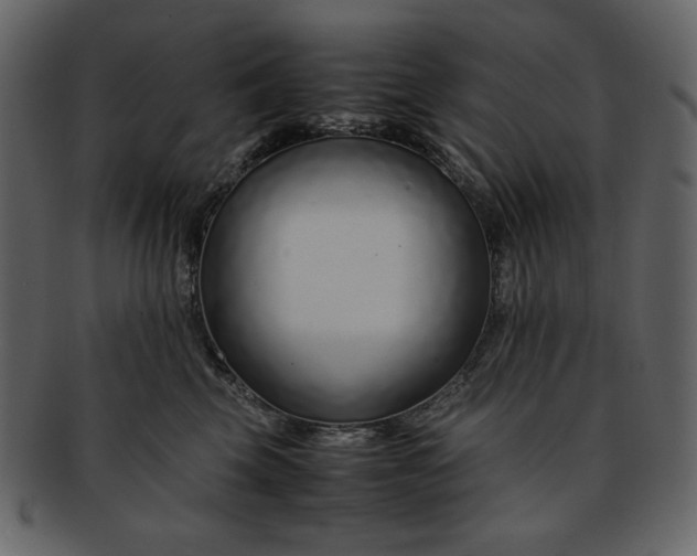 X0000093230569200710171421