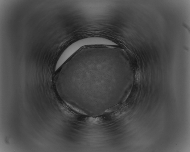 X0000093230570200710171421