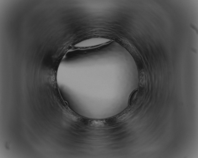 X0000093230573200710171421