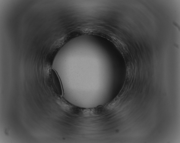 X0000093230574200710171421