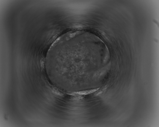 X0000093230576200710171421