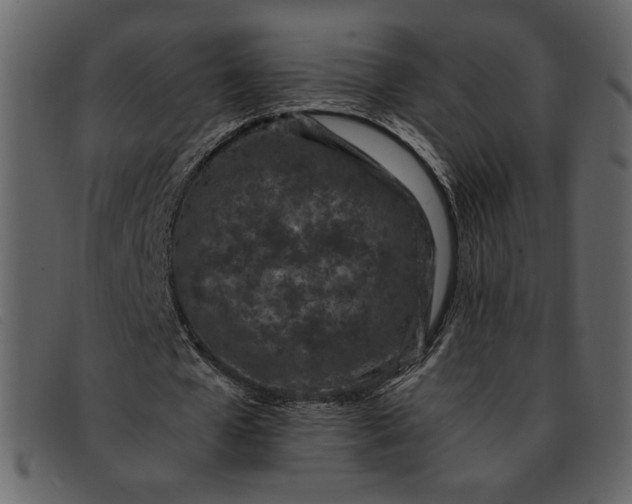 X0000093230577200710171420