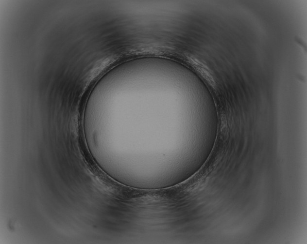 X0000093230578200710171420