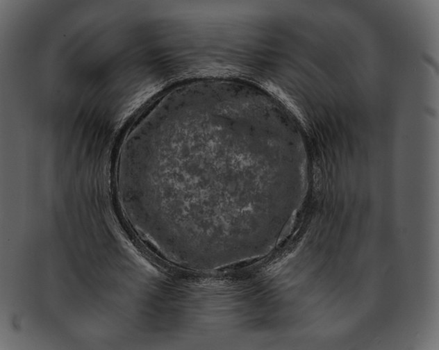 X0000093230581200710171420