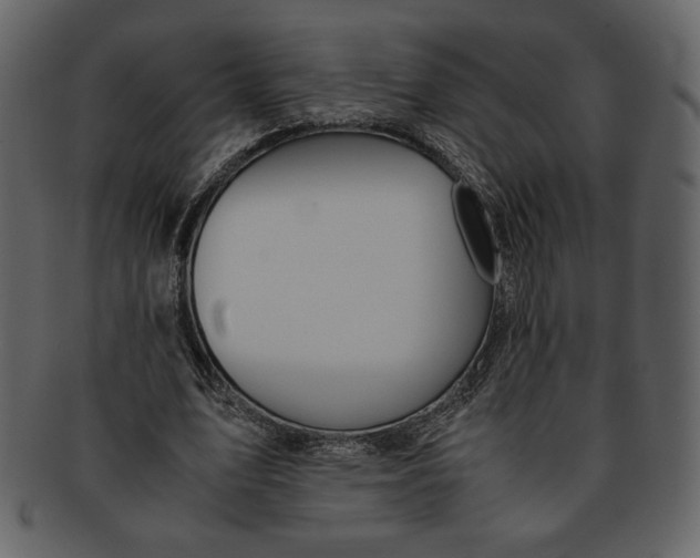 X0000093230583200710171420