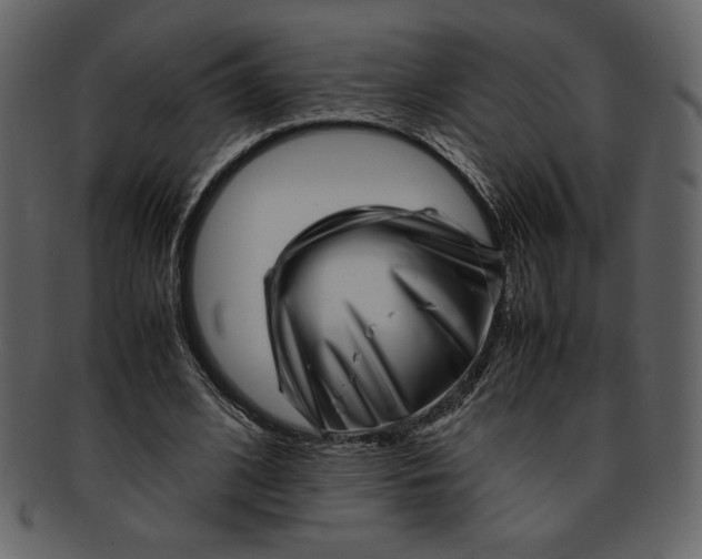 X0000093230584200710171420