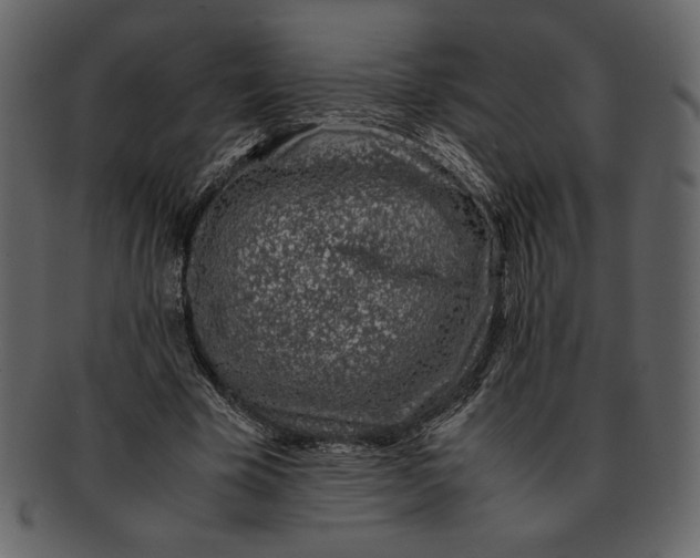 X0000093230585200710171420