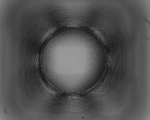 X0000093230586200710171420