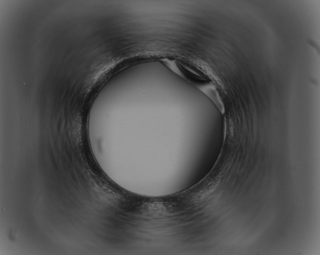 X0000093230588200710171420