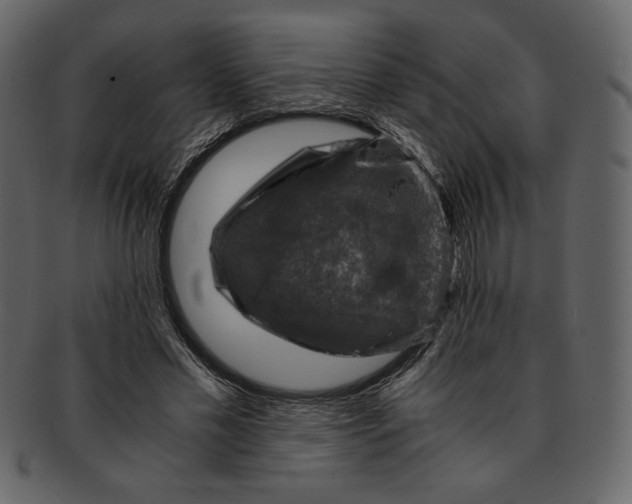 X0000093230589200710171420