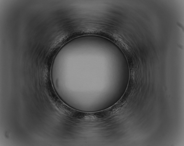 X0000093230591200710171420