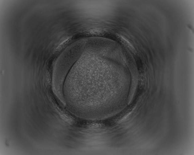 X0000093230593200710171420