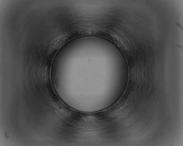 X0000093230594200710171420