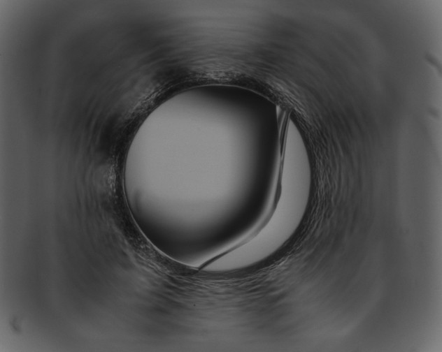 X0000093230595200710171420