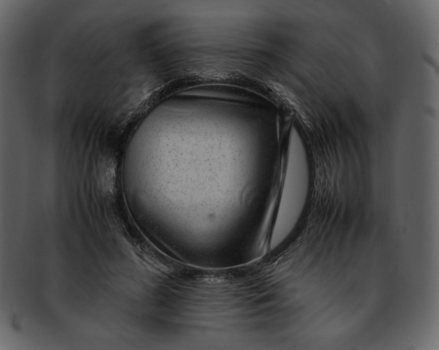 X0000093230596200710171420