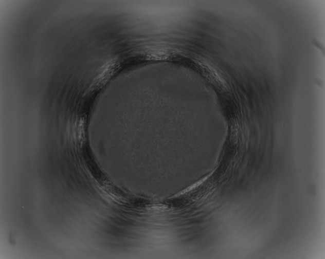 X0000093230598200710171420