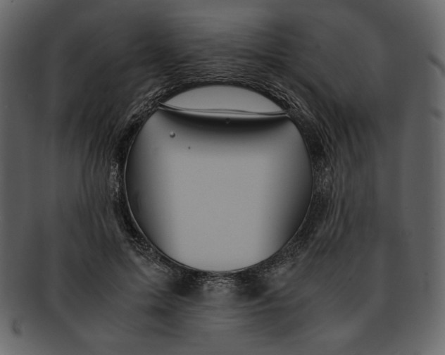 X0000093230599200710171420