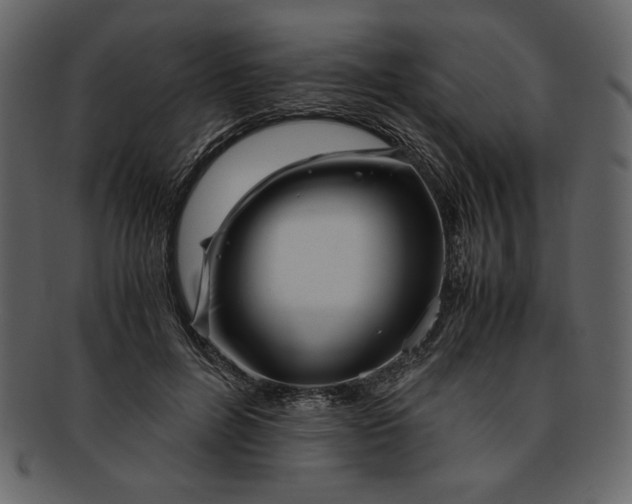 X0000093230600200710171420