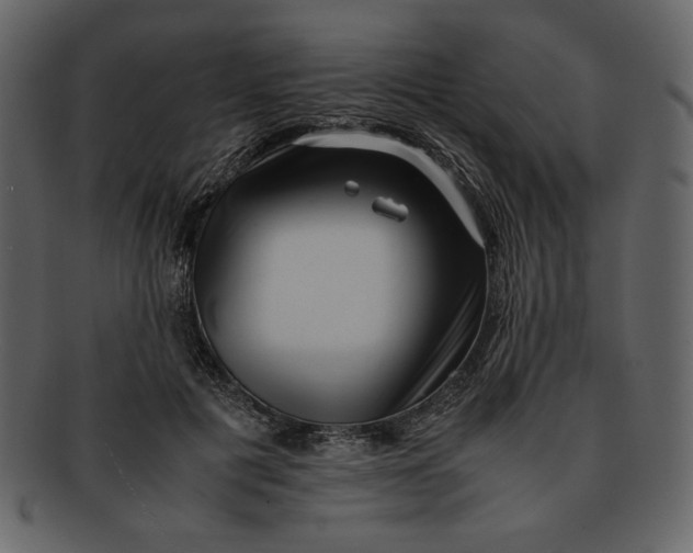 X0000093230601200710171420