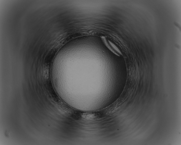 X0000093230602200710171420