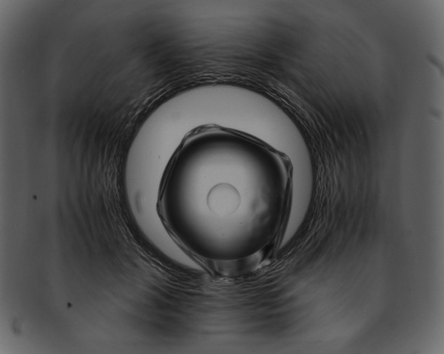 X0000093230604200710171420