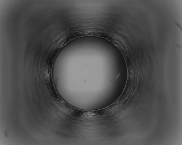 X0000093230607200710171420