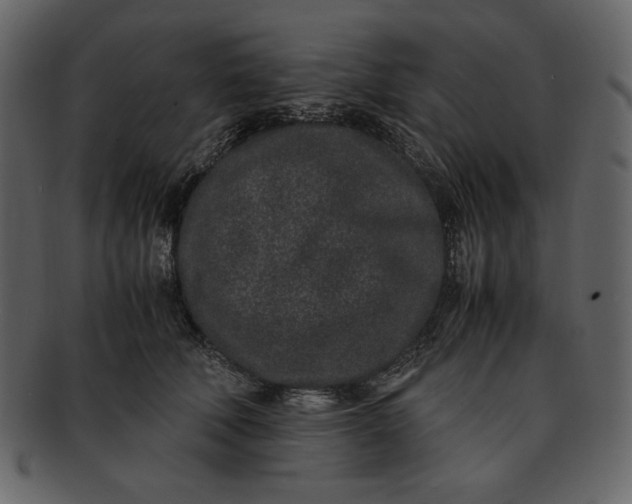 X0000093230610200710171420