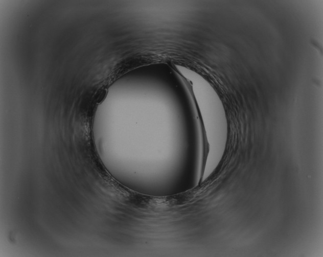 X0000093230613200710171420