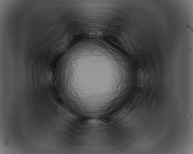 X0000093230614200710171420