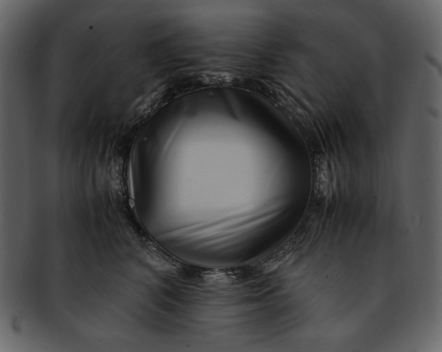 X0000093230616200710171420