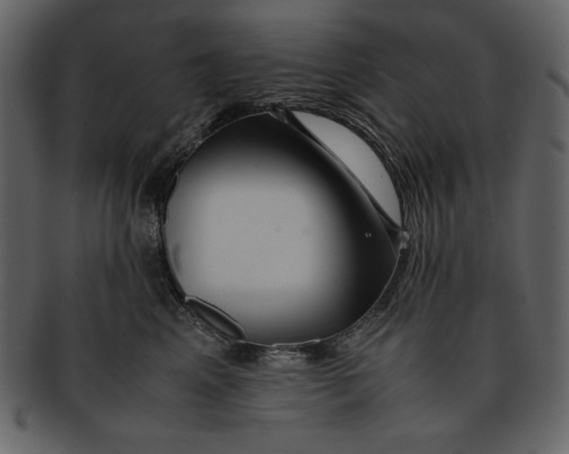 X0000093230617200710171420