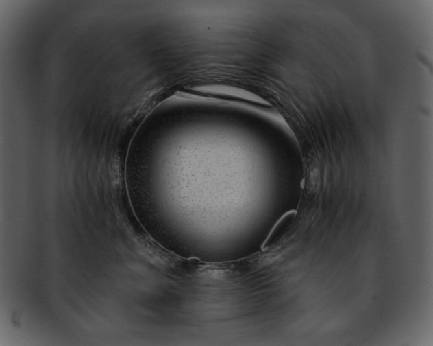 X0000093230620200710171420