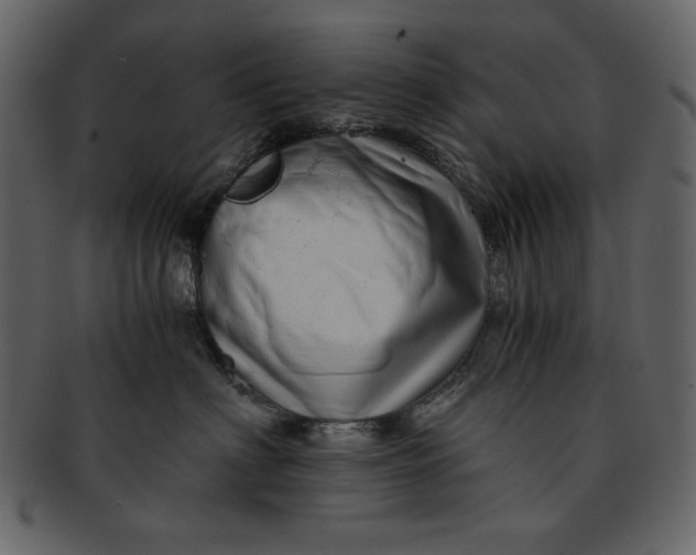 X0000093230622200710171420