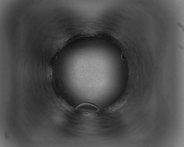 X0000093230624200710171420