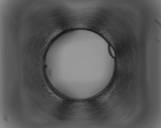 X0000093230625200710171419