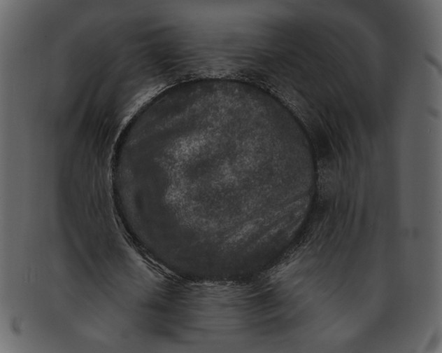 X0000093230626200710171419