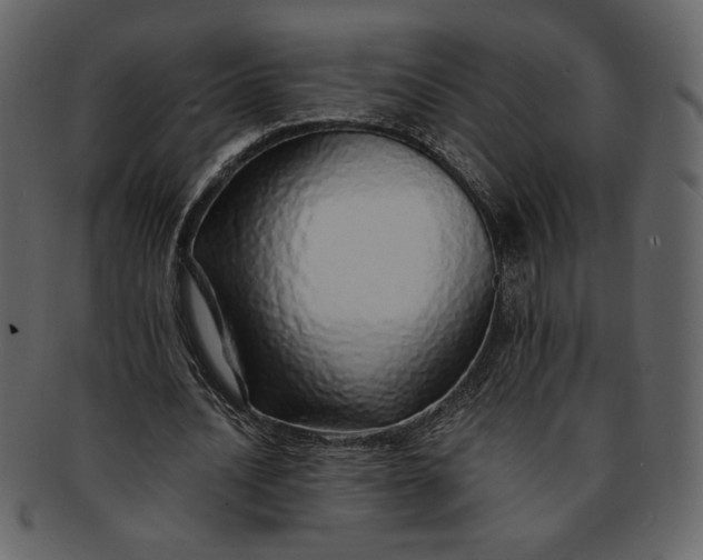 X0000093230628200710171419