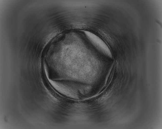 X0000093230630200710171419