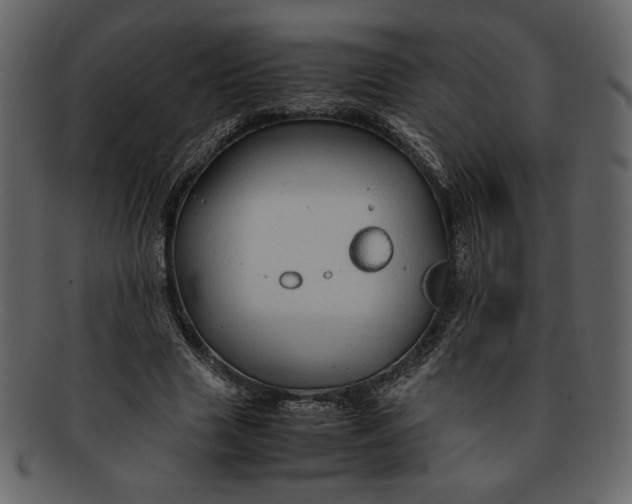 X0000093230633200710171419