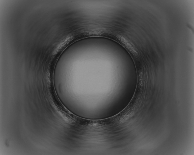 X0000093230634200710171419