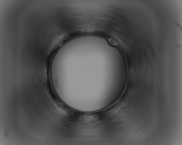 X0000093230638200710171419