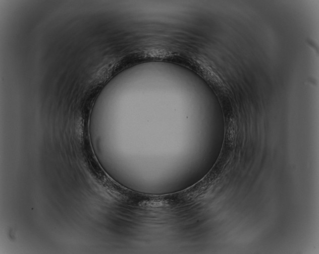 X0000093230639200710171419