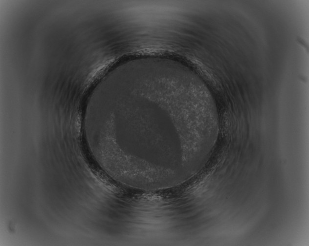 X0000093230640200710171419