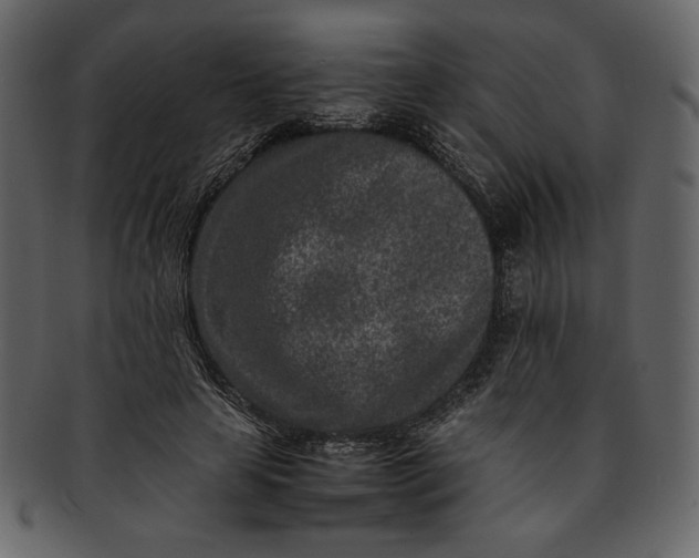 X0000093230641200710171419